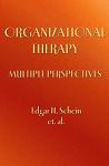 Organizational Therapy